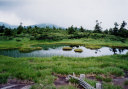 いろは沼（西吾妻）の池塘