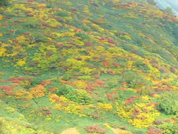 飯豊山東斜面の紅葉