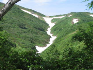 御沢分岐付近から雪渓