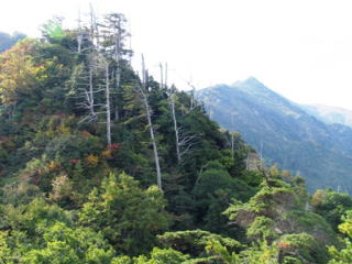 休場ノ峰から千本峰の間