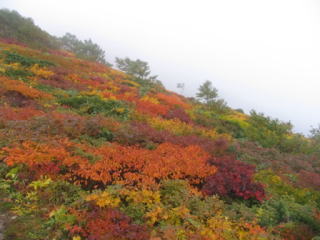 熊越から銀玉水の間の紅葉