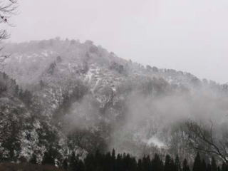 対岸の山