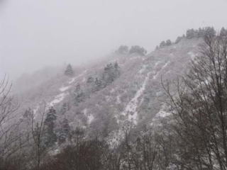 梅花皮沢左岸の斜面