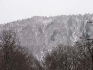 玉川対岸の山