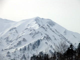 梅花皮岳