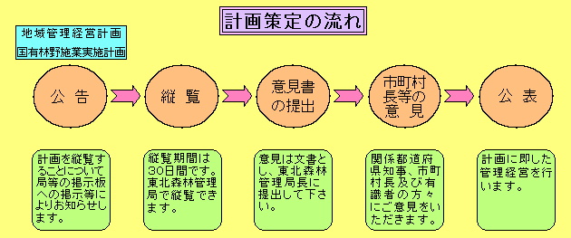 計画策定のフロー図