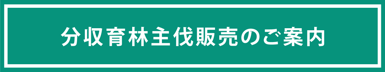 分収育林主伐販売のご案内