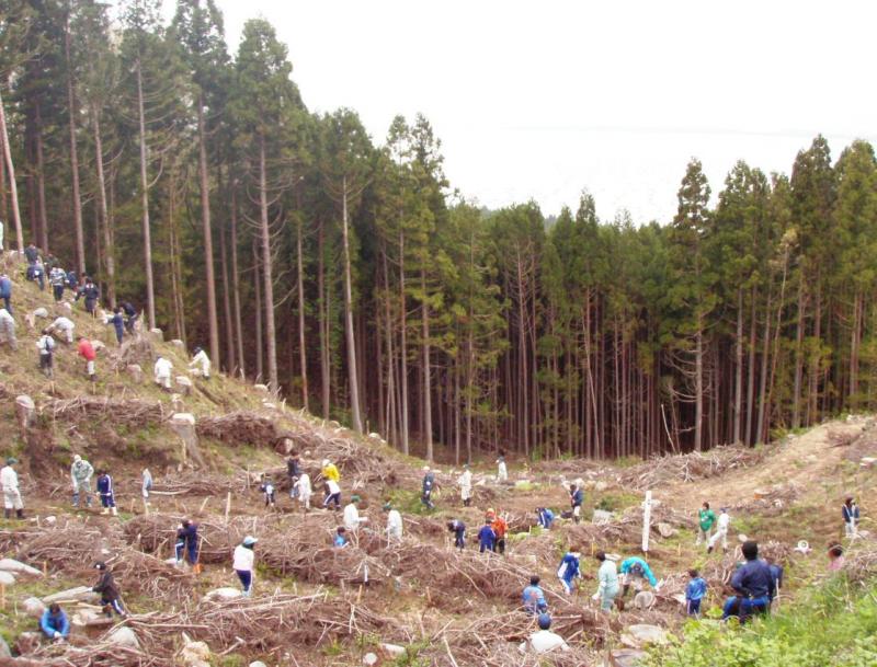 総勢80名が参加しコナラを植樹