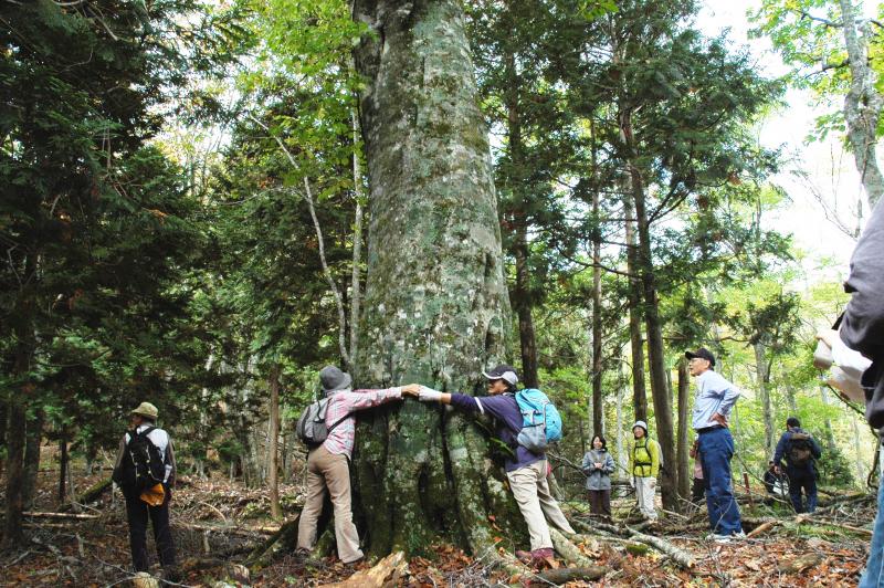 H22_五葉山麓で秋の森林浴(写真2)