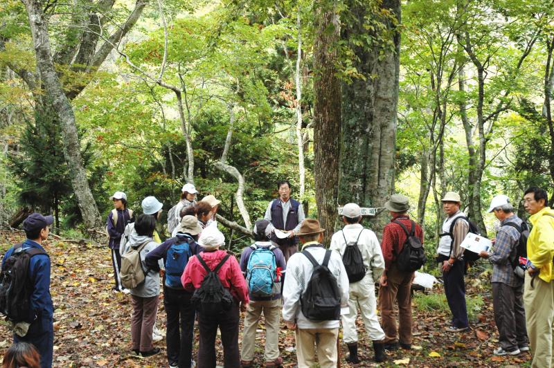 H22_五葉山麓で秋の森林浴(写真4)