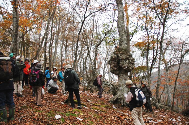 H221030_治山ダム見学会と森林浴を開催写真5