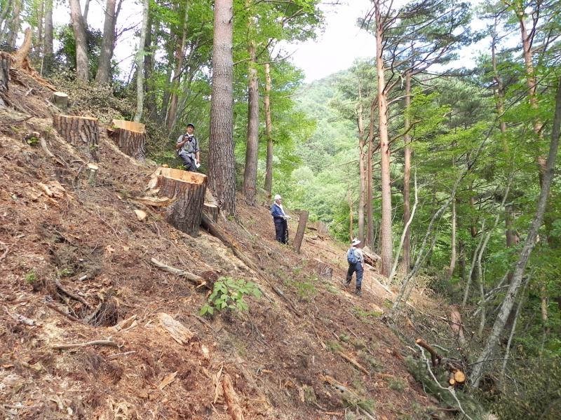 希少野生動植物種保護管理事業_トップページ写真