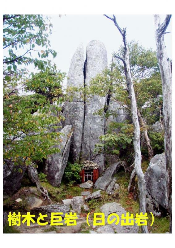 五葉山植物群落保護林紹介写真09