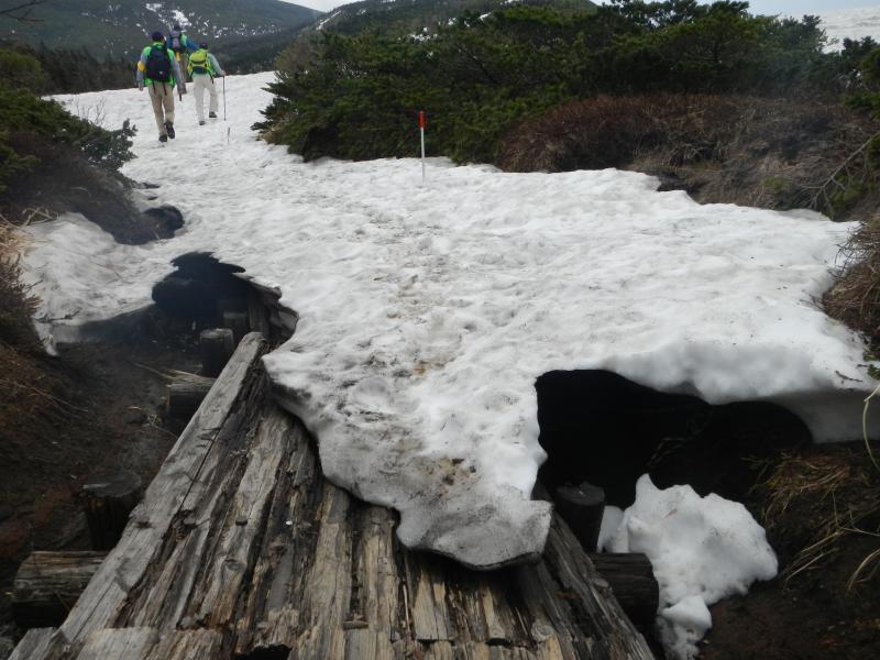 残雪