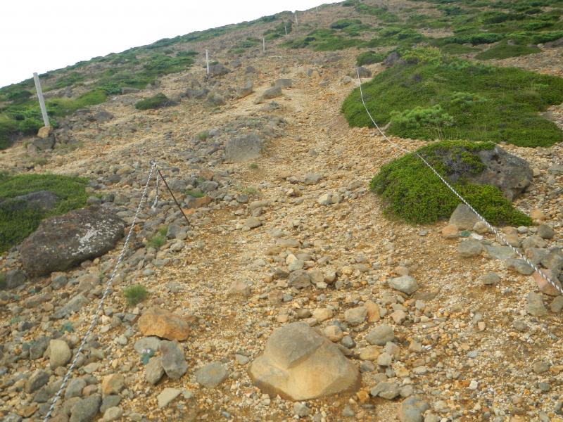 ロープが切れている箇所がありますが、高山植物保護のため登山道以外への立入りはご遠慮お願います。