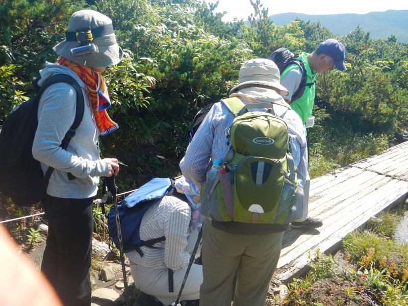 仙台市からの登山者(女性5名)と出会い、自然保護と植物の説明をしながら芝草平まで一緒に進みました。2