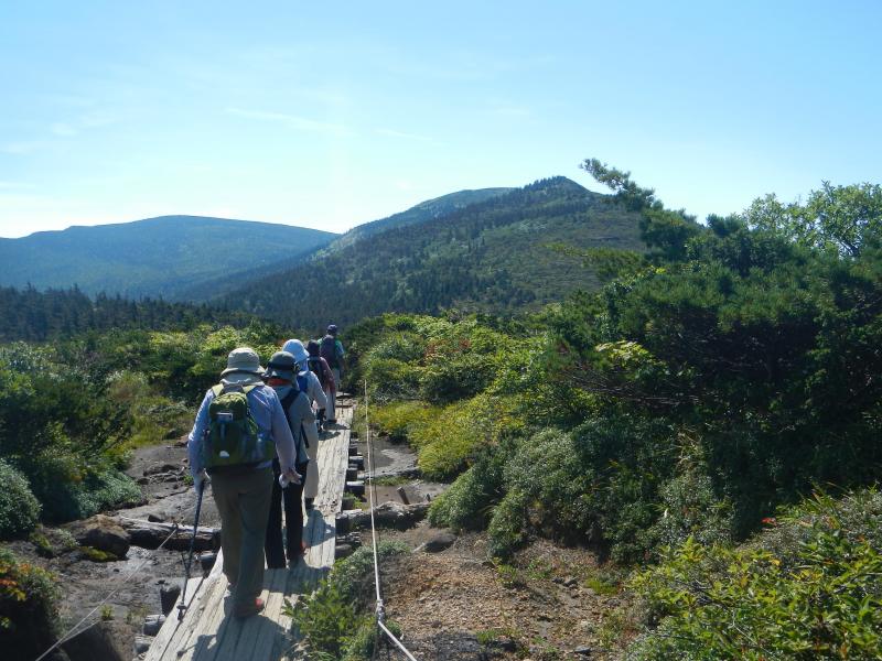 仙台市からの登山者(女性5名)と出会い、自然保護と植物の説明をしながら芝草平まで一緒に進みました。2