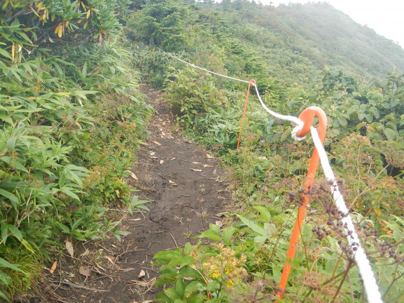屏風岳頂上付近に10メートルほどのロープ柵が新たに設置されていました。