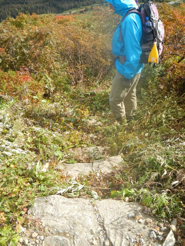 宮城県の宮城蔵王ガイド協会で歩道の 刈払いをしていました。