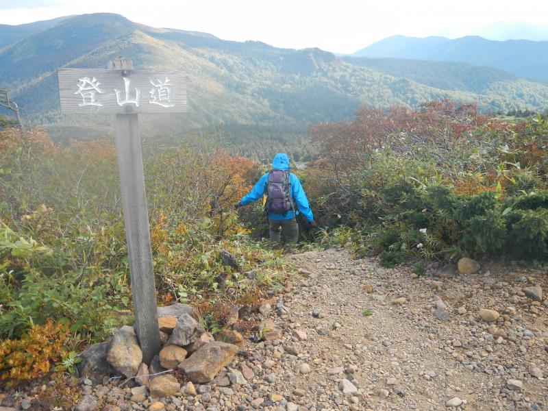 ハイラインを通り抜け,更に向こう側の登山道へ入ります。