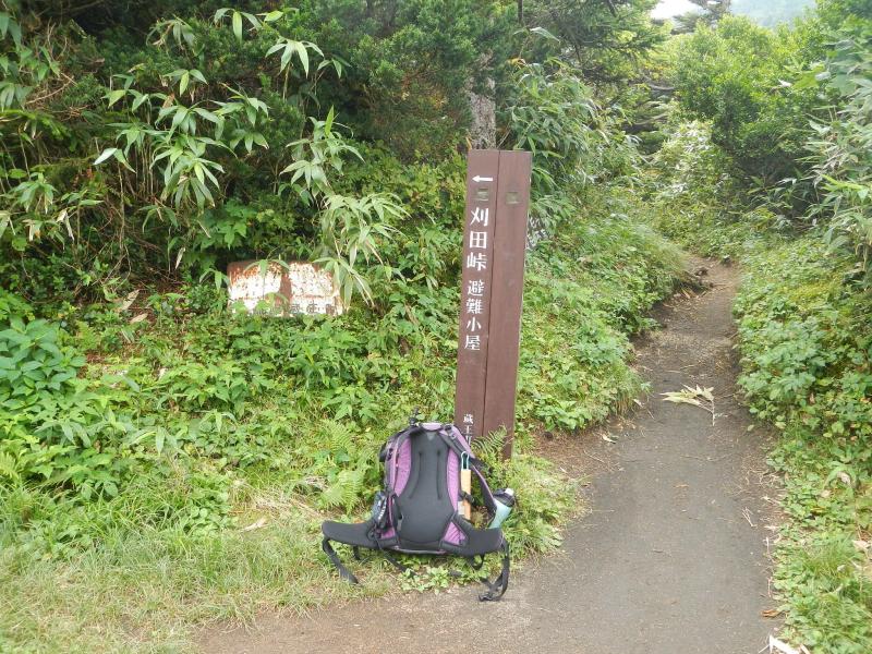 避難小屋への分岐点(刈田峠から前山までの中間付近)