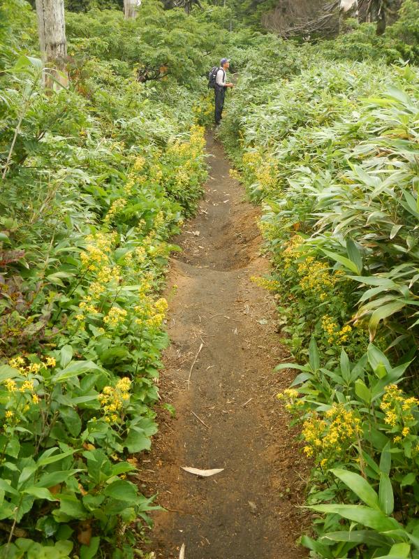 登山道