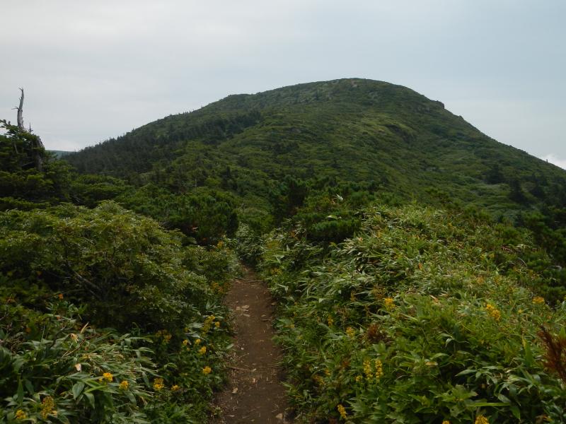 前山から杉ヶ峰への登山道