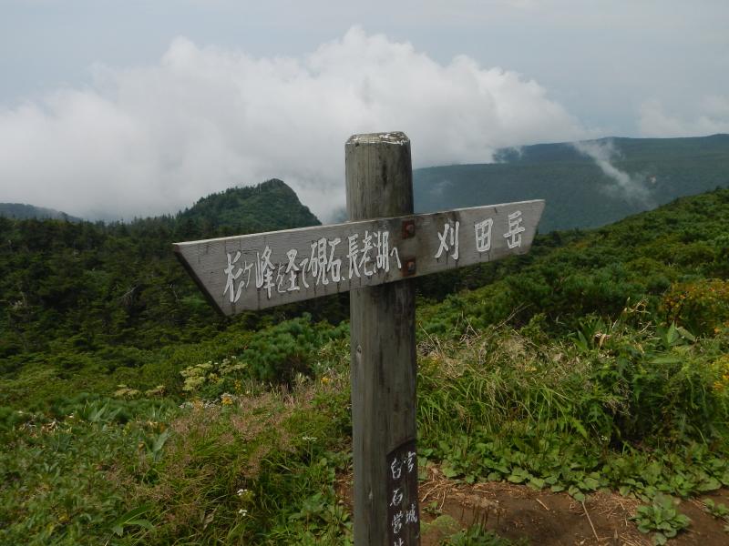 案内板（前山と杉ヶ峰の中間付近）