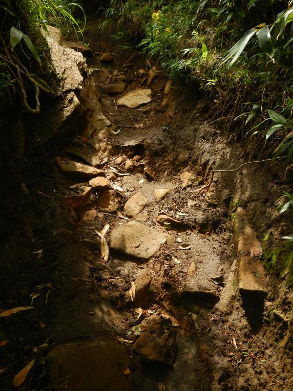 登山道