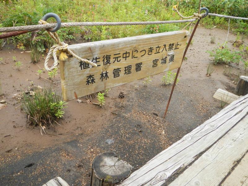 芝草平湿原「植生復元中」