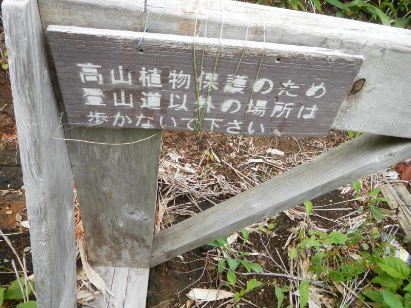 芝草平湿原「植生復元中」