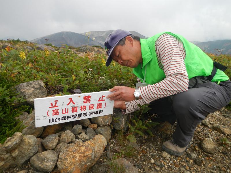 高山植物保護のために設置した標示板を点検中