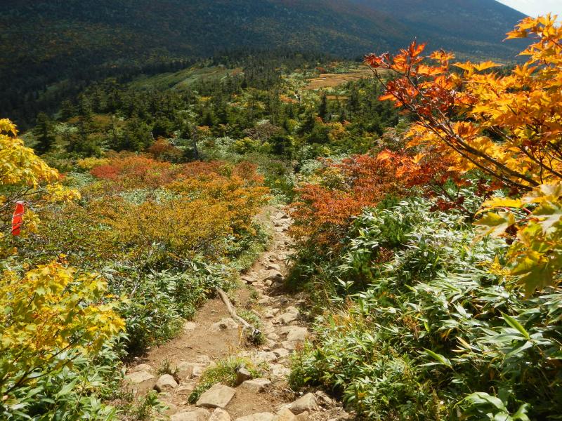 杉ヶ峰から芝草平方面