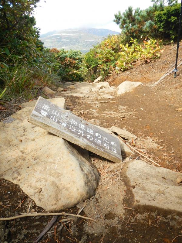 復路で、杉ヶ峰を刈田岳方面に下りて行くと、割れた古い標示板