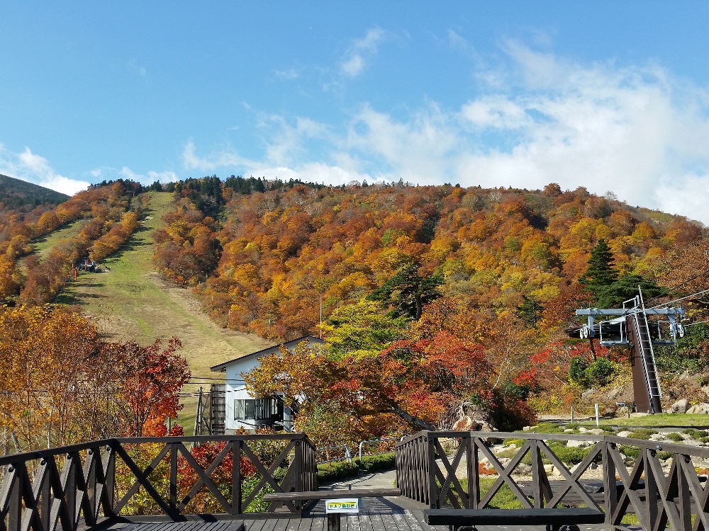 紅葉のえぼしリゾート