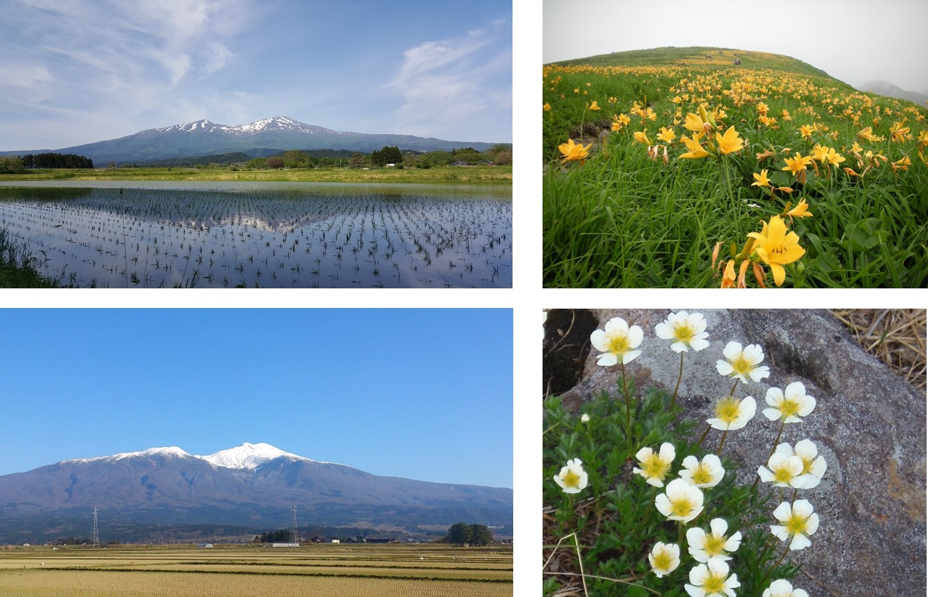 鳥海山風景林