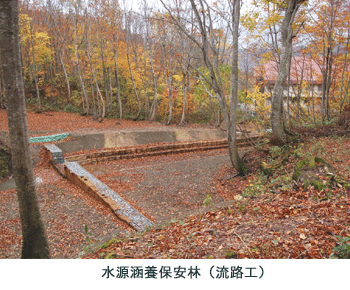 保安林写真2