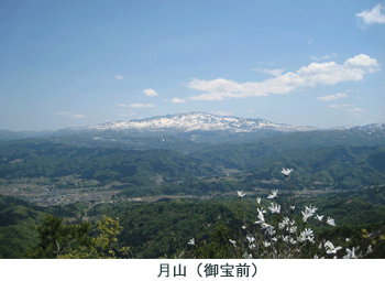 レク森写真2