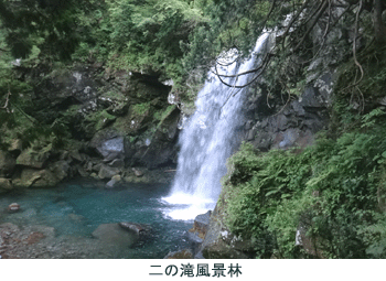 レク森写真4