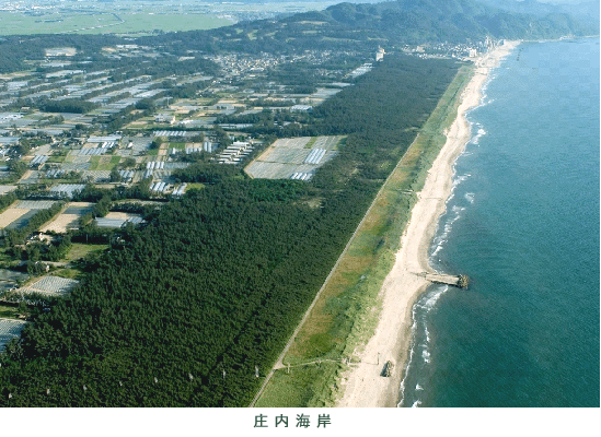 治山1