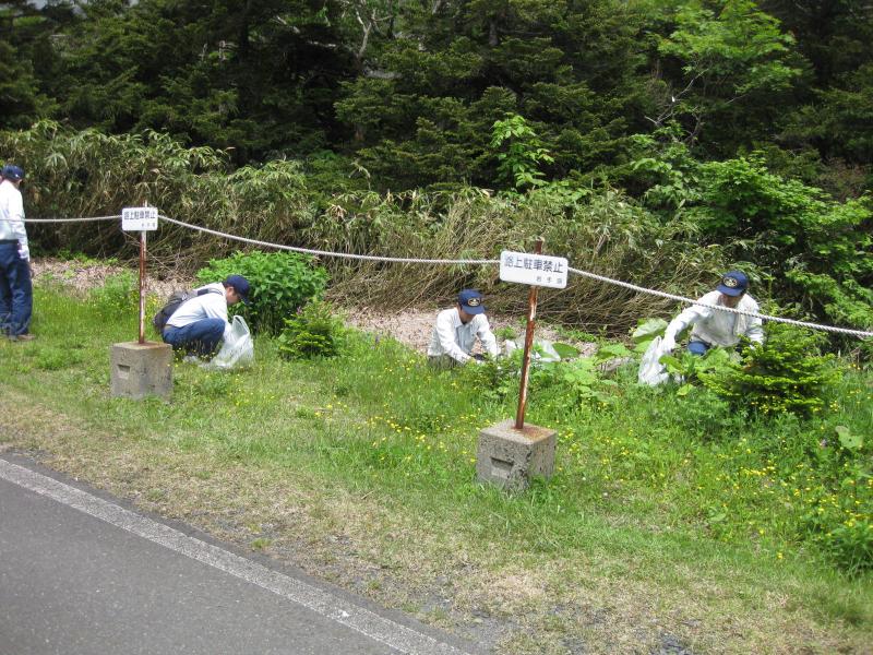 移入植物の駆除状況1