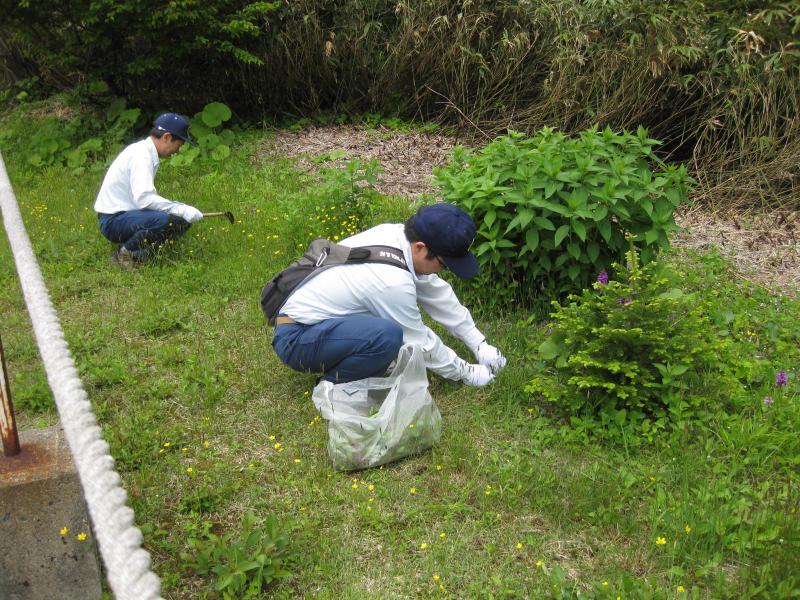 移入植物の駆除状況2