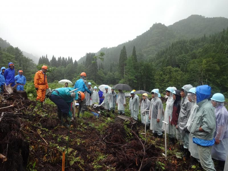 植栽方法の指導