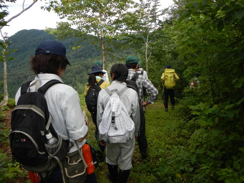 櫛石登山道帰り