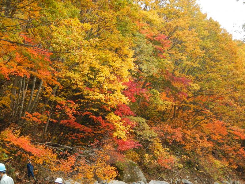 後長根沢の紅葉風景