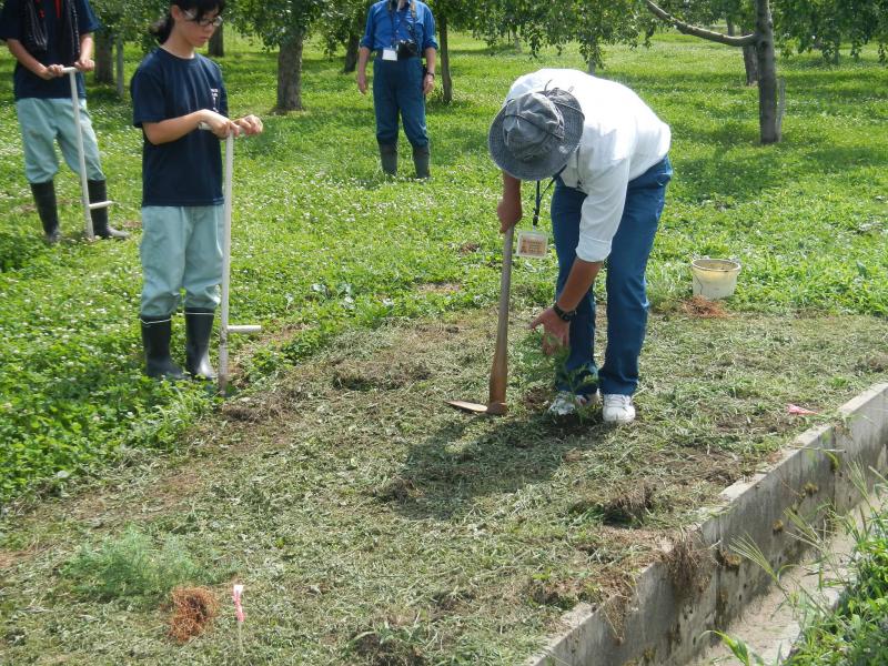 総括治山技術官植付指導