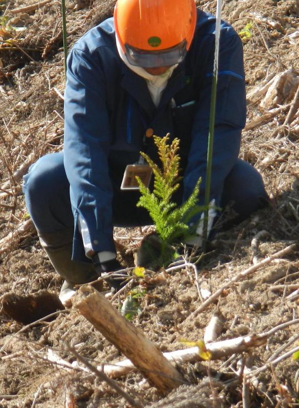 植樹指導2