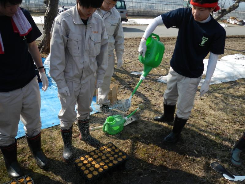 灌水して終了