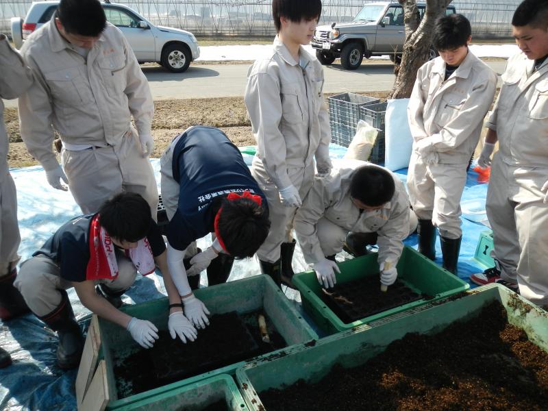 コンテナへの土詰め