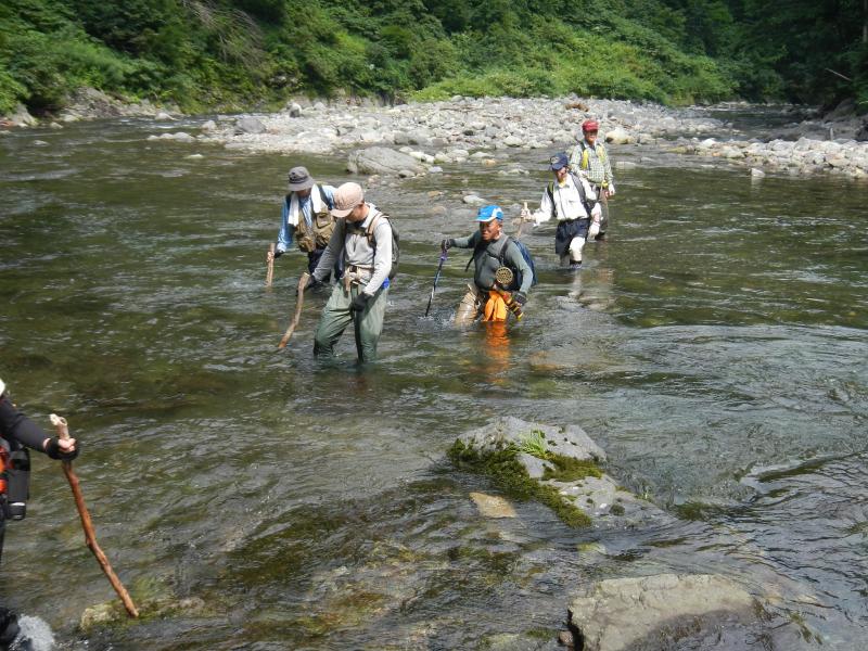 水量が多い